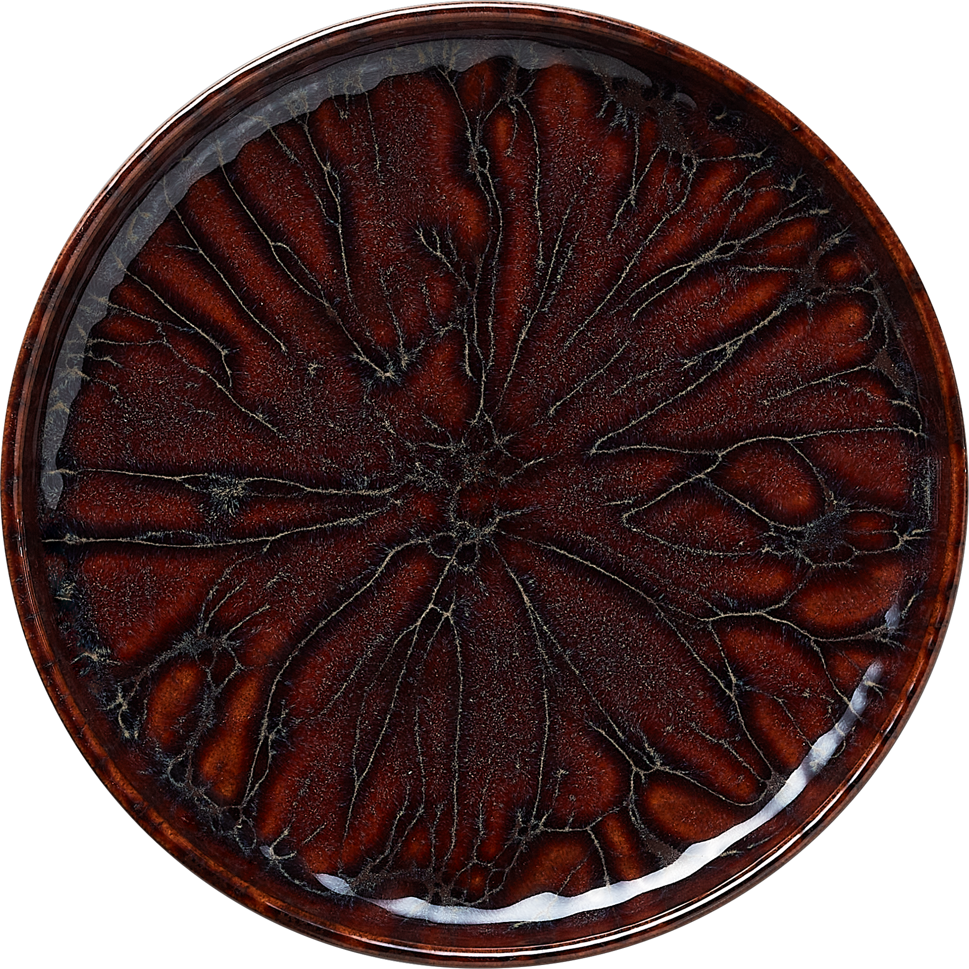 ROCKZZERO® ONE – Piatto piano, Ø 22,0 cm, serie Amazonas